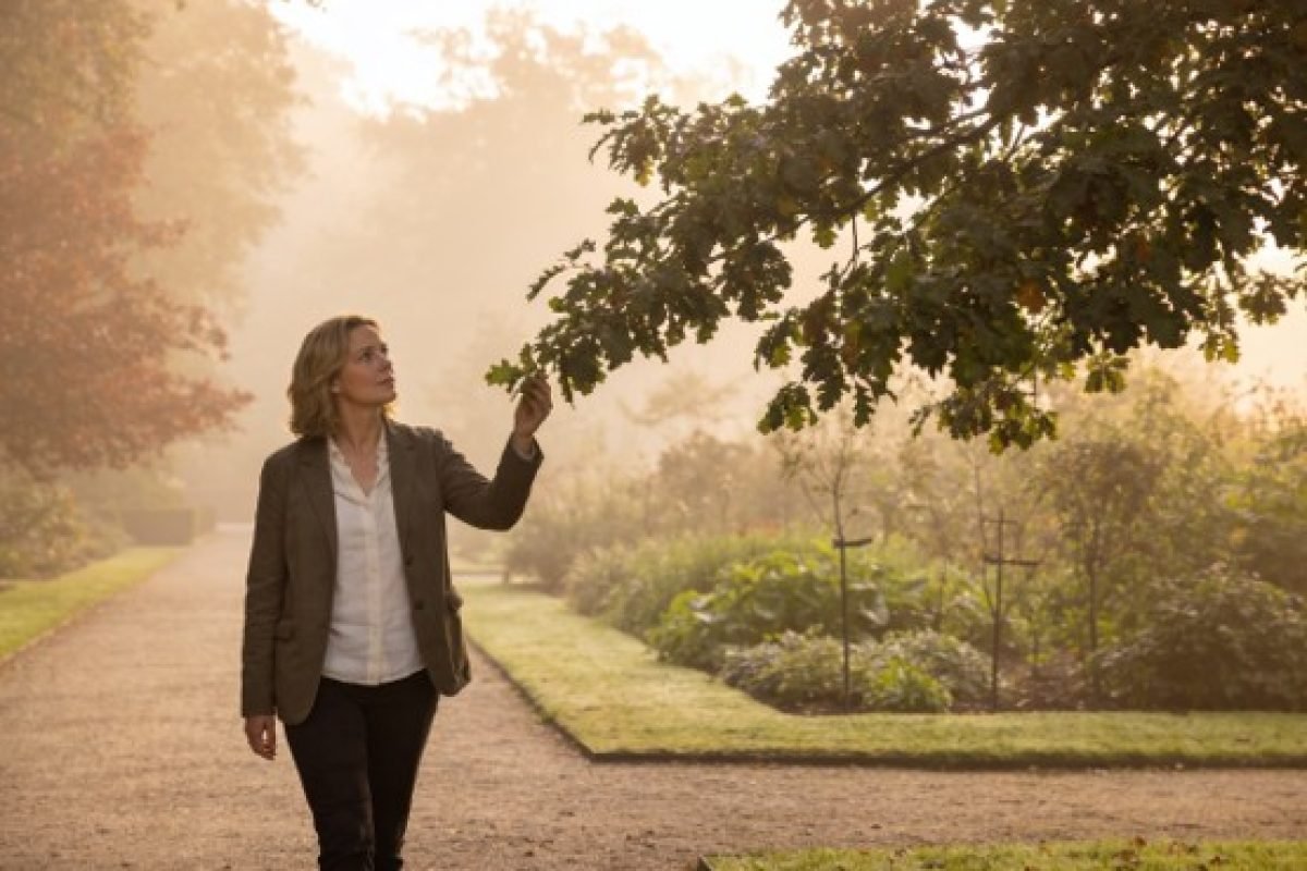 mulher tocando um galho de árvore em um parque com neblina, representando a conexão entre corpo, natureza e emoção
